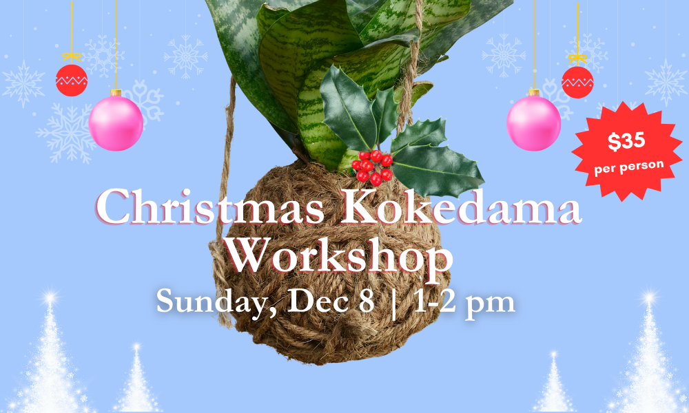 flyer for christmas themed kokedama workshop