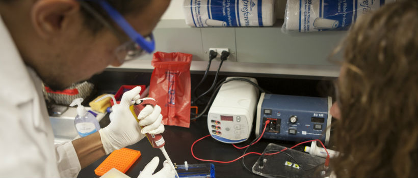 Male and female students working in biotechnology lab