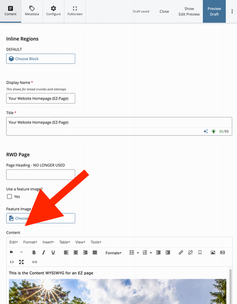 ez-page content field