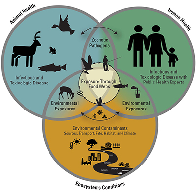 One Health Model