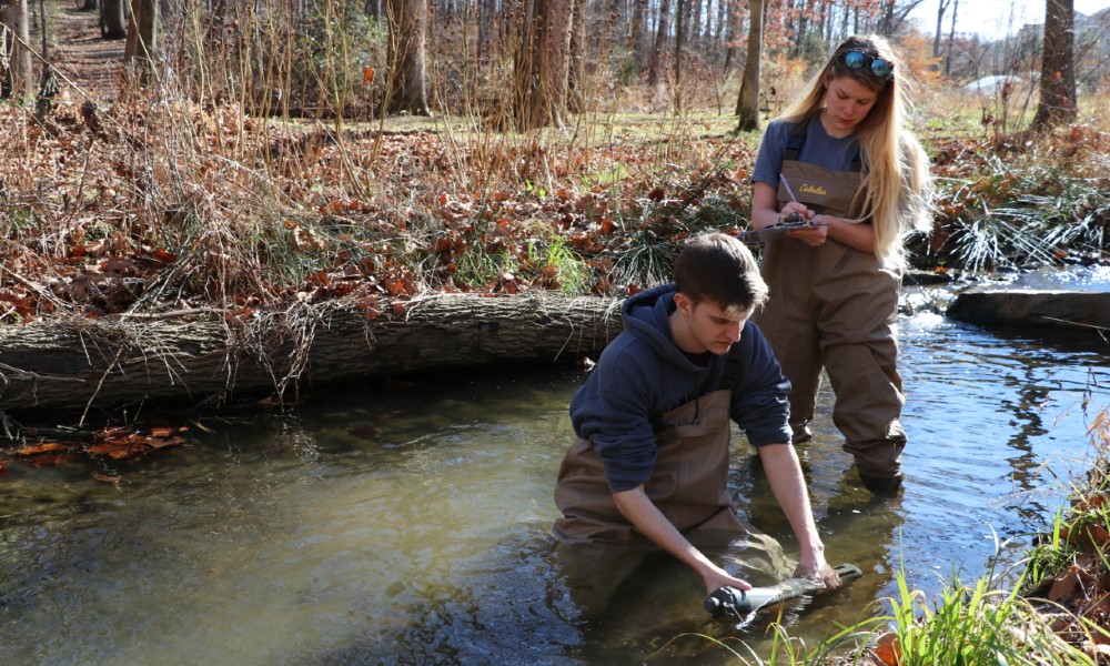 ISAT students improve water quality