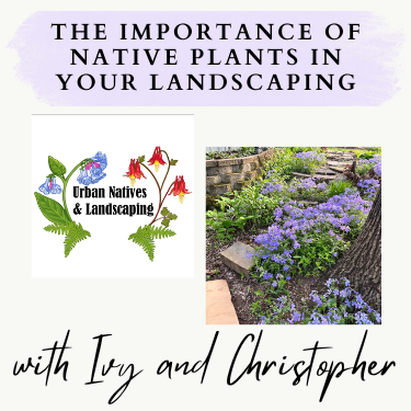 image for Thank you, Urban Natives & Landscaping!