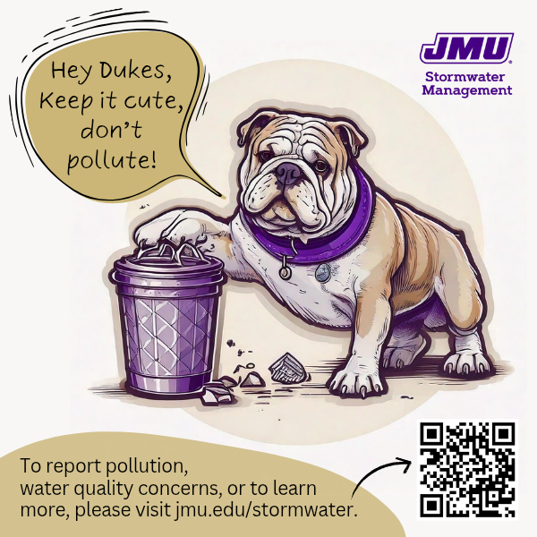 Stormwater Pollution Prevention