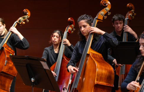 Double bassists performing on stage