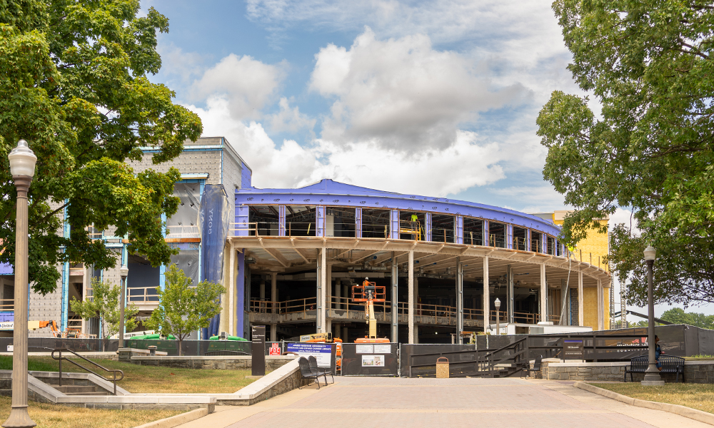 Carrier library construction