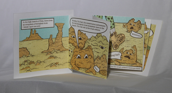 artist book  illustrated with images of desert crust creatures