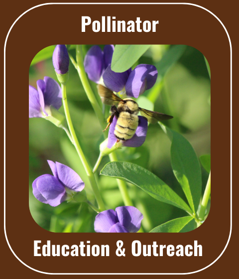 yellow bumble bee photo and link to pollinator information with text Pollinator Education and Outreach